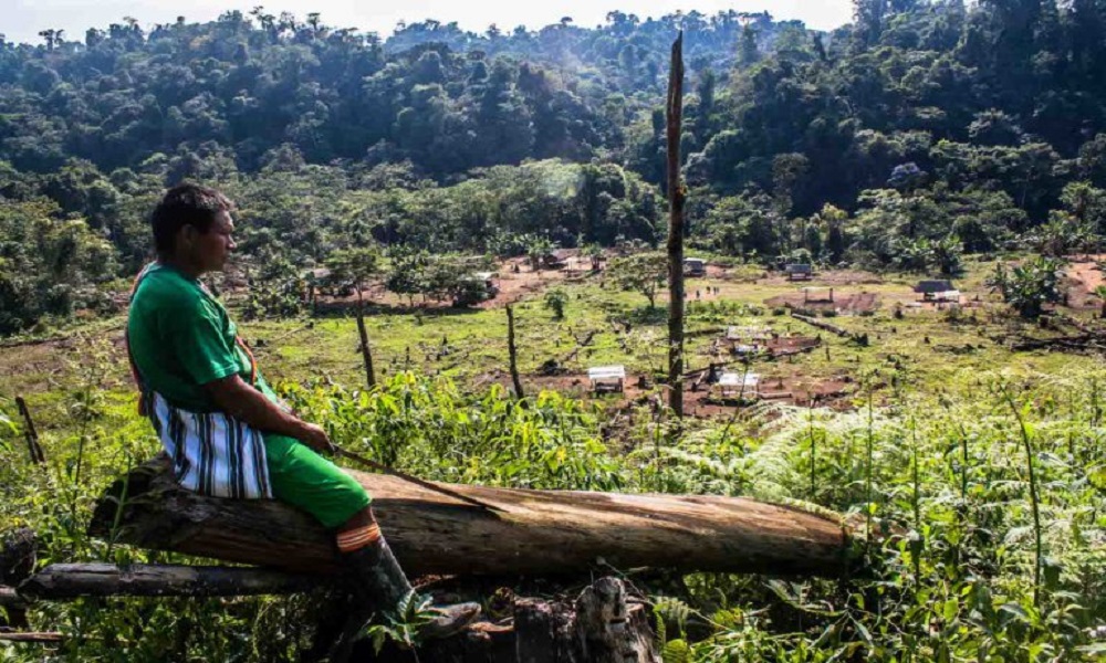 Abandono y muerte en la Amazonía